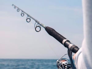 A picture of a fishing rod with a body of water.